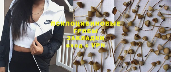 винт Аркадак
